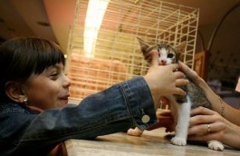 Adopt